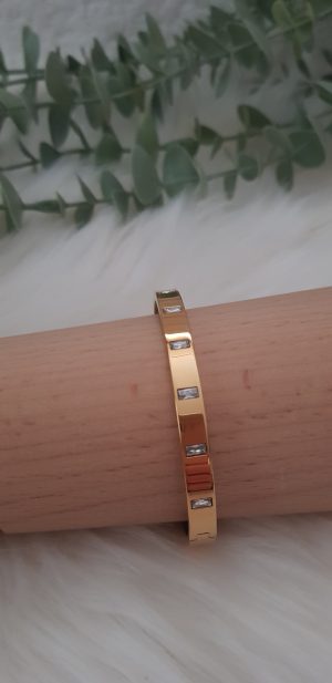 ÇELİK GÖMME TAŞLI GOLD KELEPÇE KL1001